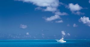 Attic Insulation ROI: What 73 Homeowners Actually Saved After Upgrading (Broken Down by Climate Zone)