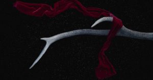 Attic Insulation R-Value Explained: What 47 Homeowners Actually Paid vs. Energy Savings After 5 Years