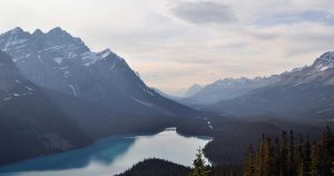 The Hidden Costs of Cheap Paint: What I Learned After Repainting My Living Room Three Times in Two Years