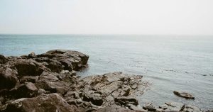 What Your Home Inspector Missed: 11 Critical Issues That Show Up 2-5 Years After Purchase