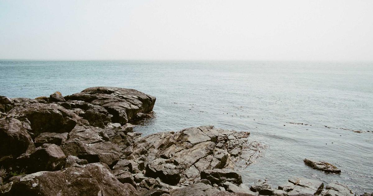 Featured: What Your Home Inspector Missed: 11 Critical Issues That Show Up 2-5 Years After Purchase