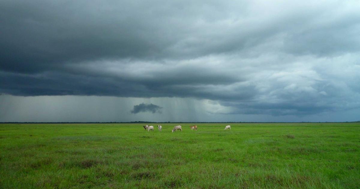 Featured: Why Your Basement Smells Musty (And the 5 Fixes Contractors Don't Tell You About)